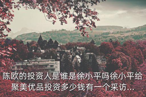陳歐的投資人是誰(shuí)是徐小平嗎徐小平給聚美優(yōu)品投資多少錢(qián)有一個(gè)采訪...