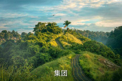 萬鴻集團