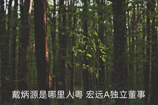 東莞銀行借殼粵宏遠a,借殼粵宏遠上市