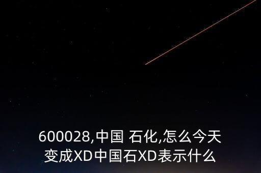 600028,中國(guó) 石化,怎么今天變成XD中國(guó)石XD表示什么