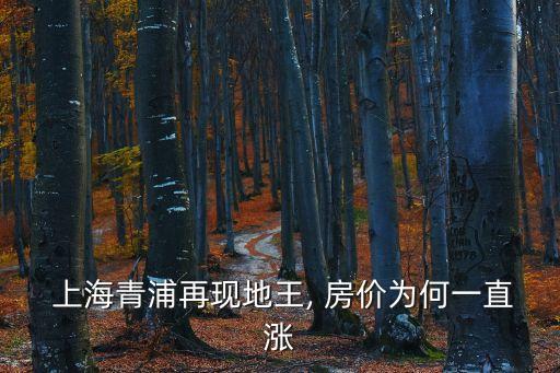 上海未來房?jī)r(jià)漲的你目瞪口呆,上海東站附近房?jī)r(jià)未來會(huì)漲嗎