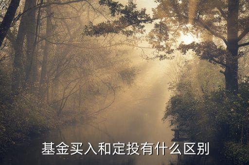  基金買(mǎi)入和定投有什么區(qū)別