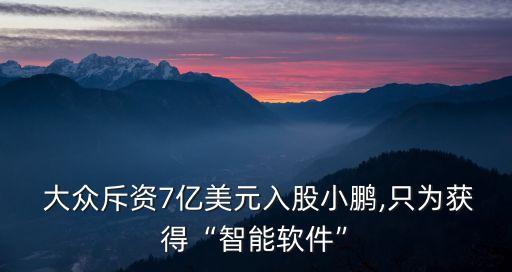 大眾線上投資怎么樣,大眾中國(guó)投資有限公司怎么樣