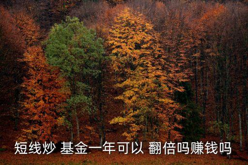 短線炒 基金一年可以 翻倍嗎賺錢嗎