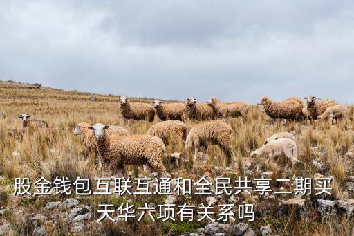 股金錢(qián)包互聯(lián)互通和全民共享二期買(mǎi) 天華六項(xiàng)有關(guān)系嗎