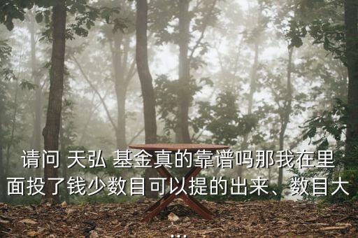 請(qǐng)問 天弘 基金真的靠譜嗎那我在里面投了錢少數(shù)目可以提的出來、數(shù)目大...