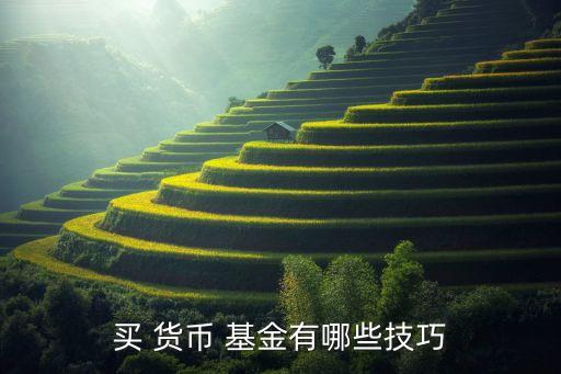 買(mǎi) 貨幣 基金有哪些技巧