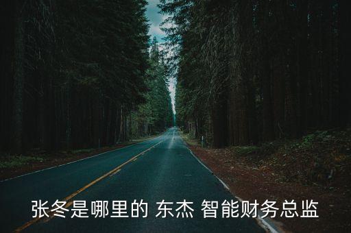 張冬是哪里的 東杰 智能財務總監(jiān)