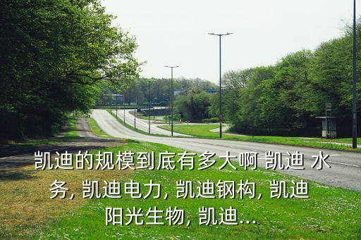 天門凱迪水務(wù)有限責(zé)任公司