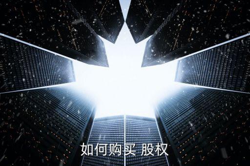 如何購(gòu)買(mǎi) 股權(quán)