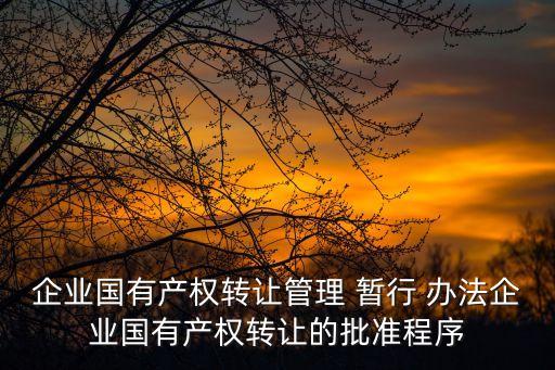 企業(yè)國有產(chǎn)權(quán)轉(zhuǎn)讓管理 暫行 辦法企業(yè)國有產(chǎn)權(quán)轉(zhuǎn)讓的批準(zhǔn)程序