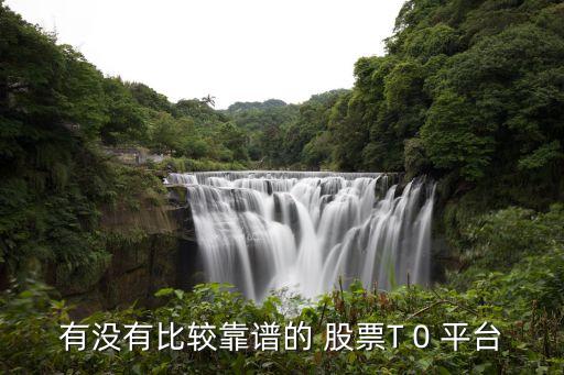 有沒有比較靠譜的 股票T 0 平臺