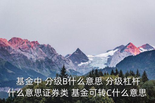  基金中 分級(jí)B什么意思 分級(jí)杠桿什么意思證券類(lèi) 基金可轉(zhuǎn)C什么意思