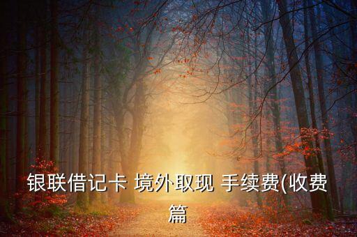 銀聯(lián)借記卡 境外取現(xiàn) 手續(xù)費(收費篇