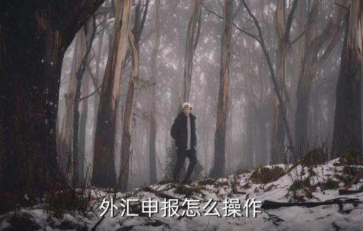 外匯申報怎么操作