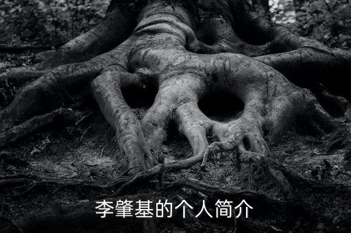 山東恒基集團(tuán)有限公司新三板