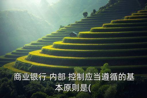 商業(yè)銀行 內部 控制應當遵循的基本原則是(