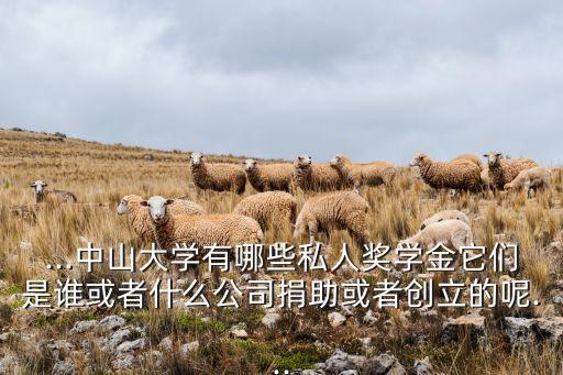 ...中山大學(xué)有哪些私人獎學(xué)金它們是誰或者什么公司捐助或者創(chuàng)立的呢...