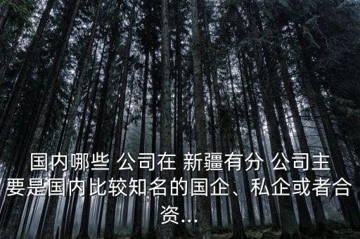 國內(nèi)哪些 公司在 新疆有分 公司主要是國內(nèi)比較知名的國企、私企或者合資...