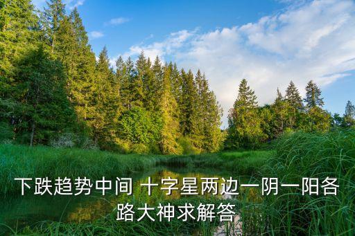 下跌趨勢(shì)中間 十字星兩邊一陰一陽(yáng)各路大神求解答