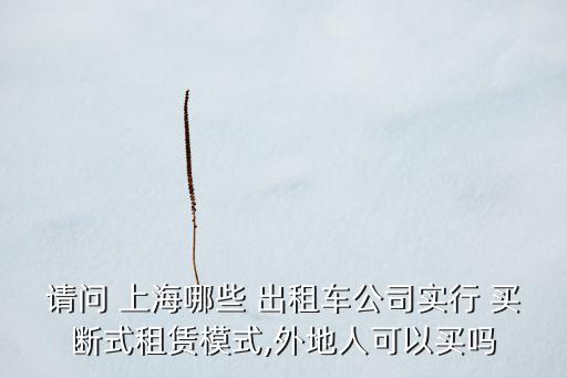 請問 上海哪些 出租車公司實(shí)行 買斷式租賃模式,外地人可以買嗎