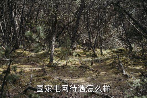 國家電網待遇怎么樣