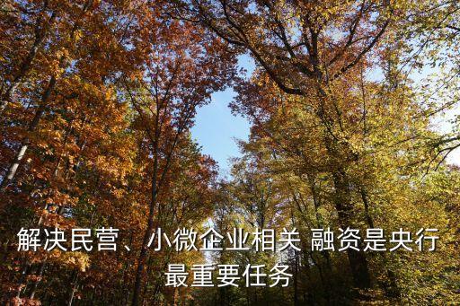 解決民營(yíng)、小微企業(yè)相關(guān) 融資是央行最重要任務(wù)