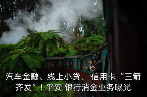汽車金融、線上小貸、 信用卡“三箭齊發(fā)”! 平安 銀行消金業(yè)務(wù)曝光