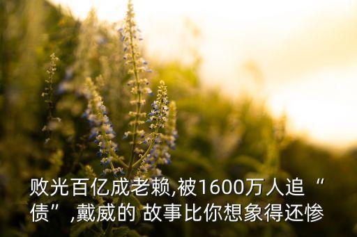 敗光百億成老賴(lài),被1600萬(wàn)人追“債”,戴威的 故事比你想象得還慘