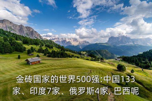 金磚國家的世界500強:中國133家、印度7家、俄羅斯4家, 巴西呢