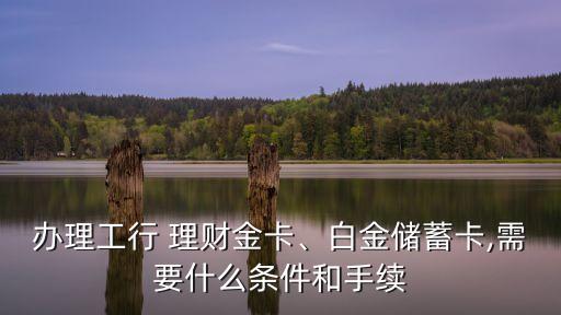辦理工行 理財金卡、白金儲蓄卡,需要什么條件和手續(xù)