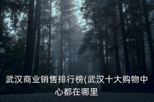 武漢商業(yè)銷(xiāo)售排行榜(武漢十大購(gòu)物中心都在哪里