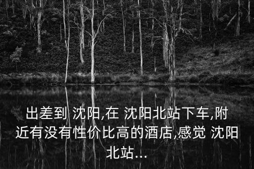 出差到 沈陽(yáng),在 沈陽(yáng)北站下車,附近有沒有性價(jià)比高的酒店,感覺 沈陽(yáng)北站...