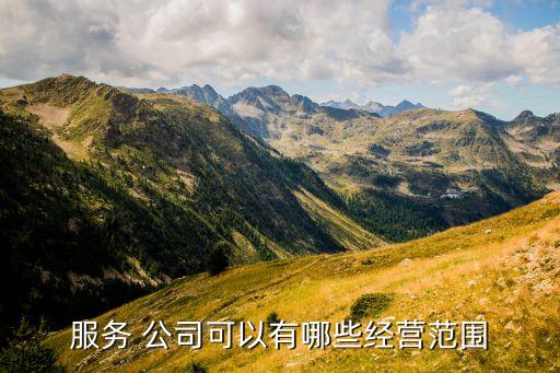 房地產(chǎn)公司運(yùn)營簡報(bào)