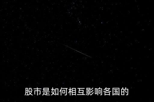 中東歐轉軌經濟國家股票市場制度研究