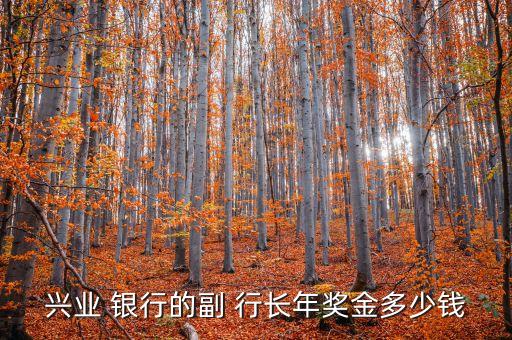 興業(yè) 銀行的副 行長(zhǎng)年獎(jiǎng)金多少錢(qián)