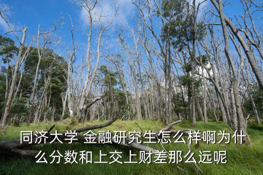  同濟大學(xué) 金融研究生怎么樣啊為什么分?jǐn)?shù)和上交上財差那么遠(yuǎn)呢
