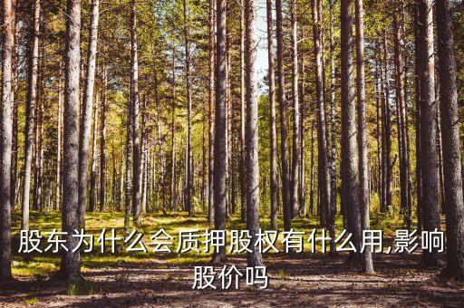 股東為什么會質(zhì)押股權(quán)有什么用,影響股價(jià)嗎
