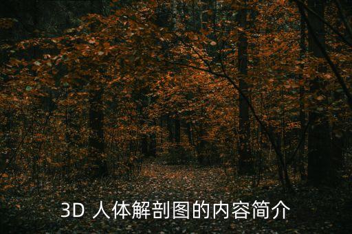3D 人體解剖圖的內(nèi)容簡(jiǎn)介