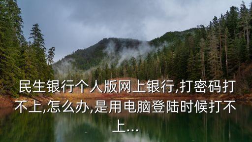  民生銀行個(gè)人版網(wǎng)上銀行,打密碼打不上,怎么辦,是用電腦登陸時(shí)候打不上...