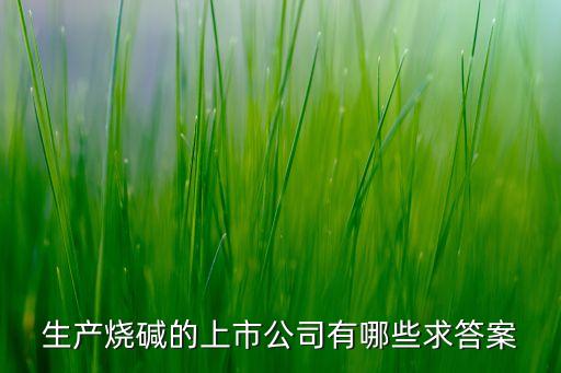 生產燒堿的上市公司有哪些求答案