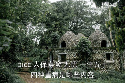 picc 人保壽險(xiǎn) 無(wú)憂(yōu) 一生五十四種重病是哪些內(nèi)容
