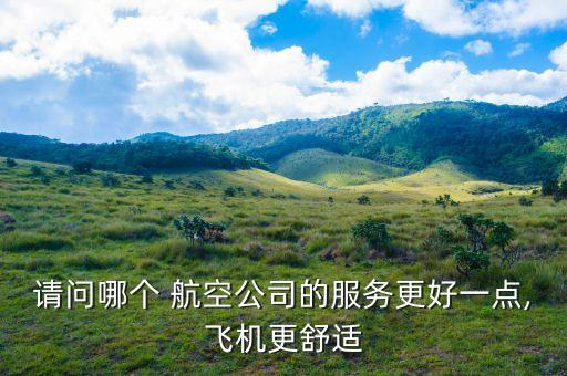 請問哪個 航空公司的服務(wù)更好一點,飛機(jī)更舒適