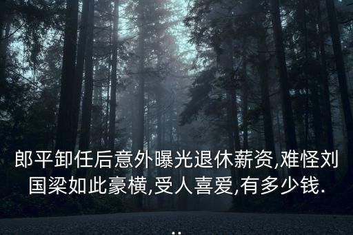 郎平卸任后意外曝光退休薪資,難怪劉國(guó)梁如此豪橫,受人喜愛(ài),有多少錢(qián)...