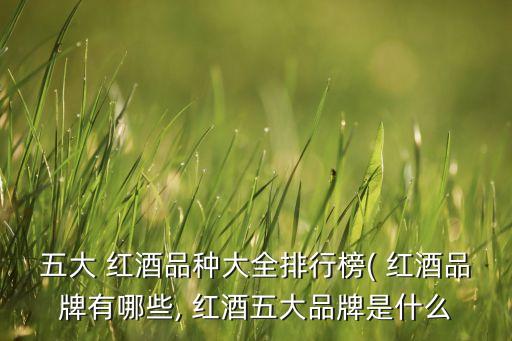 2015年中國紅酒進(jìn)口商排名榜