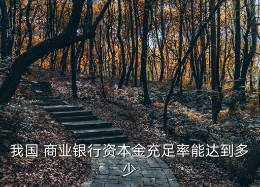 中國(guó)商業(yè)銀行新監(jiān)管指標(biāo)分析,商業(yè)銀行風(fēng)險(xiǎn)監(jiān)管核心指標(biāo)(試行) 文號(hào)