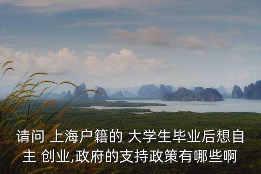 請問 上海戶籍的 大學生畢業(yè)后想自主 創(chuàng)業(yè),政府的支持政策有哪些啊