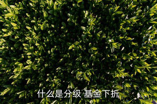 什么是分級(jí) 基金下折
