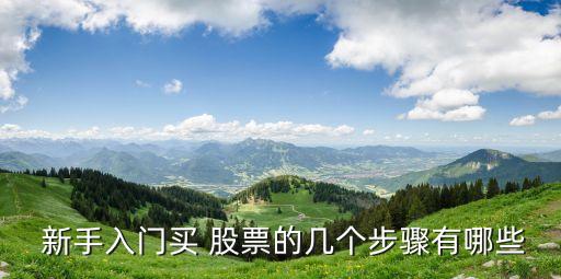 新手選股票,新手基金和股票選哪個