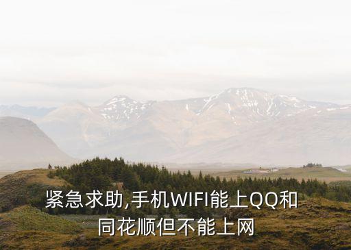 緊急求助,手機WIFI能上QQ和 同花順但不能上網